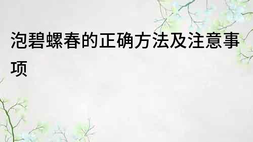 泡碧螺春的正確方法及注意事項