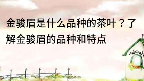 金駿眉是什么品種的茶葉？了解金駿眉的品種和特點