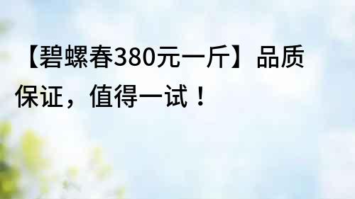 【碧螺春380元一斤】品質保證，值得一試！
