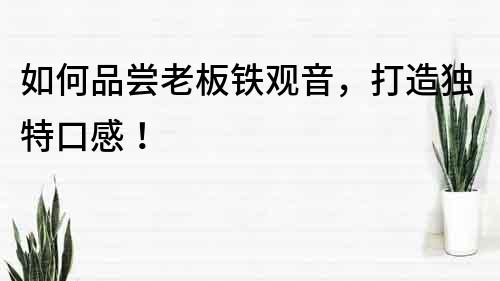 如何品嘗老板鐵觀音，打造獨特口感！