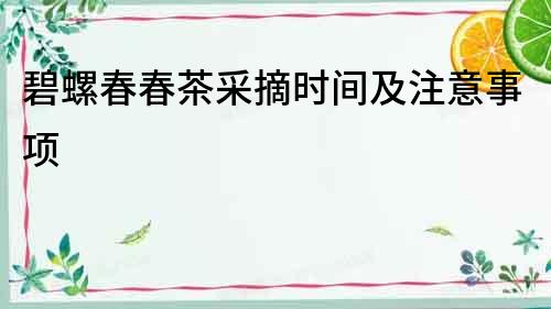 碧螺春春茶采摘時間及注意事項