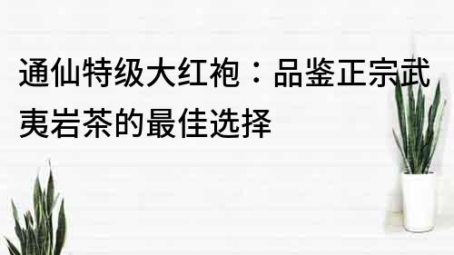 通仙特級大紅袍：品鑒正宗武夷巖茶的最佳選擇