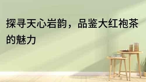 探尋天心巖韻，品鑒大紅袍茶的魅力