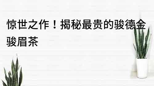 驚世之作！揭秘最貴的駿德金駿眉茶