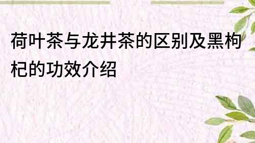 荷葉茶與龍井茶的區別及黑枸杞的功效介紹