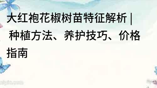 大紅袍花椒樹苗特征解析 | 種植方法、養(yǎng)護技巧、價格指南
