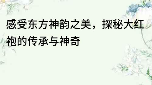 感受東方神韻之美，探秘大紅袍的傳承與神奇