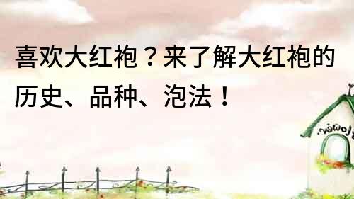 喜歡大紅袍？來了解大紅袍的歷史、品種、泡法！