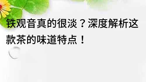 鐵觀音真的很淡？深度解析這款茶的味道特點(diǎn)！