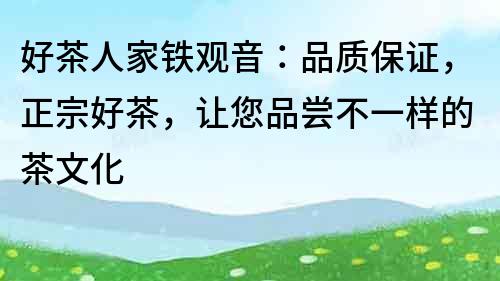 好茶人家鐵觀音：品質(zhì)保證，正宗好茶，讓您品嘗不一樣的茶文化