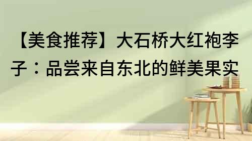 【美食推薦】大石橋大紅袍李子：品嘗來自東北的鮮美果實