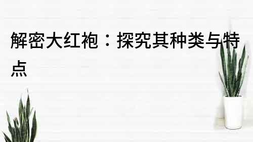 解密大紅袍：探究其種類與特點