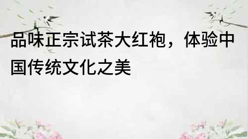 品味正宗試茶大紅袍，體驗中國傳統文化之美