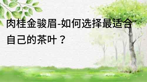 肉桂金駿眉-如何選擇最適合自己的茶葉？