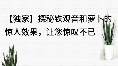 【獨(dú)家】探秘鐵觀音和蘿卜的驚人效果，讓您驚嘆不已