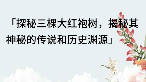 「探秘三棵大紅袍樹，揭秘其神秘的傳說和歷史淵源」