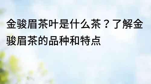 金駿眉茶葉是什么茶？了解金駿眉茶的品種和特點