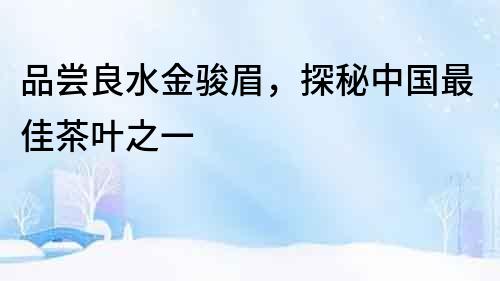 品嘗良水金駿眉，探秘中國最佳茶葉之一