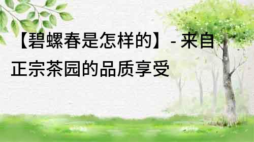 【碧螺春是怎樣的】- 來自正宗茶園的品質享受