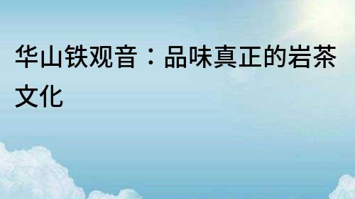 華山鐵觀音：品味真正的巖茶文化