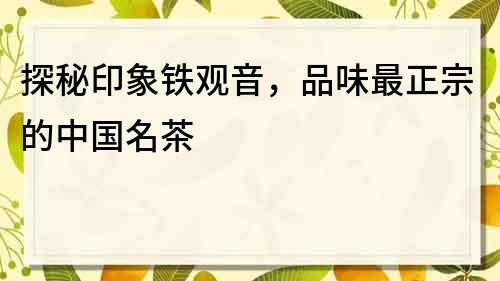 探秘印象鐵觀音，品味最正宗的中國名茶
