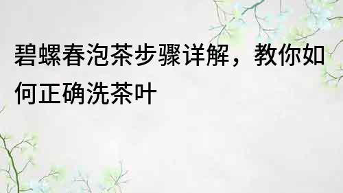 碧螺春泡茶步驟詳解，教你如何正確洗茶葉