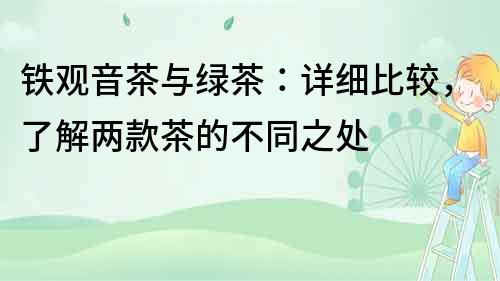 鐵觀音茶與綠茶：詳細比較，了解兩款茶的不同之處