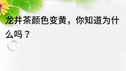 龍井茶顏色變黃，你知道為什么嗎？