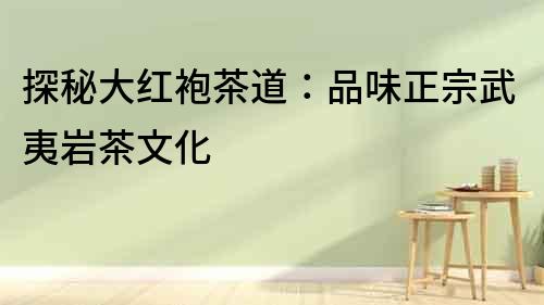 探秘大紅袍茶道：品味正宗武夷巖茶文化