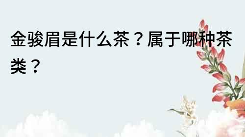 金駿眉是什么茶？屬于哪種茶類？