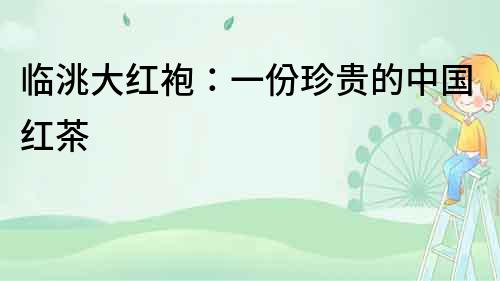 臨洮大紅袍：一份珍貴的中國紅茶
