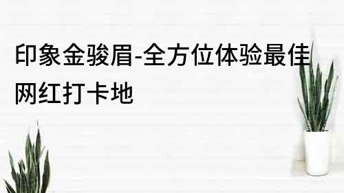 印象金駿眉-全方位體驗最佳網紅打卡地