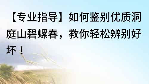 【專業指導】如何鑒別優質洞庭山碧螺春，教你輕松辨別好壞！