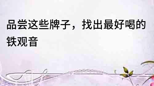 品嘗這些牌子，找出最好喝的鐵觀音