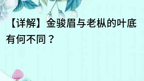 【詳解】金駿眉與老樅的葉底有何不同？
