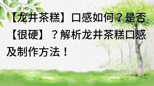 【龍井茶糕】口感如何？是否【很硬】？解析龍井茶糕口感及制作方法！