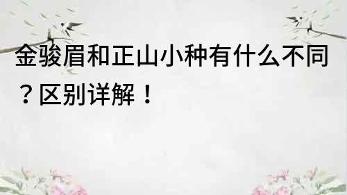 金駿眉和正山小種有什么不同？區(qū)別詳解！