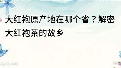 大紅袍原產地在哪個省？解密大紅袍茶的故鄉