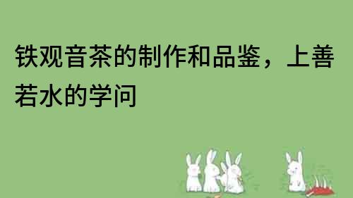 鐵觀音茶的制作和品鑒，上善若水的學(xué)問