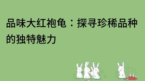 品味大紅袍龜：探尋珍稀品種的獨特魅力