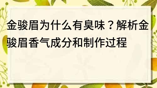 金駿眉為什么有臭味？解析金駿眉香氣成分和制作過程