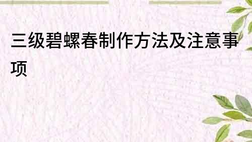 三級(jí)碧螺春制作方法及注意事項(xiàng)