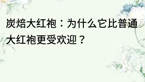 炭焙大紅袍：為什么它比普通大紅袍更受歡迎？