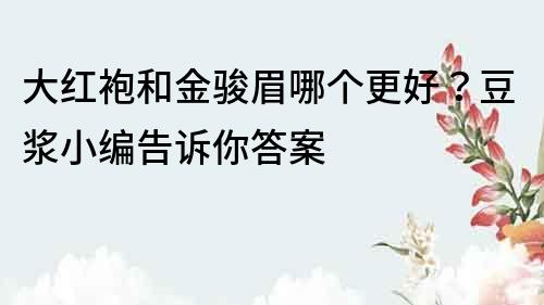 大紅袍和金駿眉哪個更好？豆漿小編告訴你答案