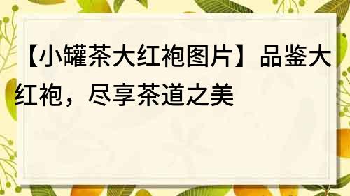 【小罐茶大紅袍圖片】品鑒大紅袍，盡享茶道之美