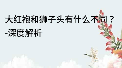 大紅袍和獅子頭有什么不同？-深度解析