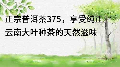 正宗普洱茶375，享受純正云南大葉種茶的天然滋味