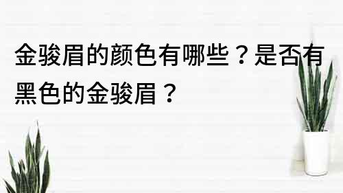 金駿眉的顏色有哪些？是否有黑色的金駿眉？