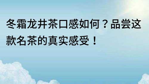冬霜龍井茶口感如何？品嘗這款名茶的真實感受！