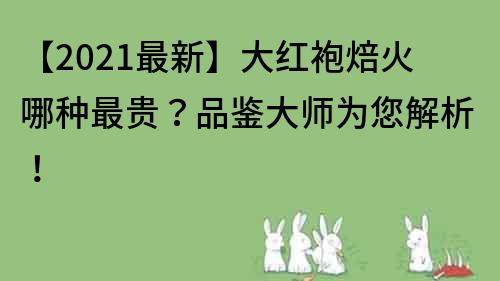 【2022最新】大紅袍焙火哪種最貴？品鑒大師為您解析！